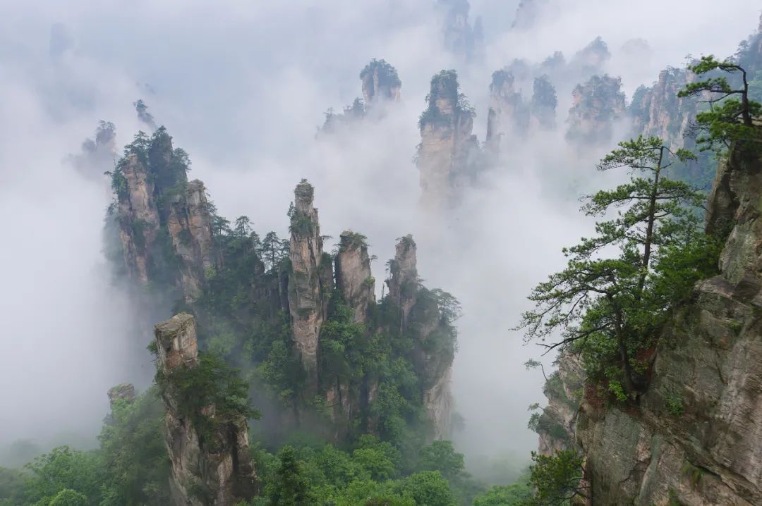 张家界一年四季旅游攻略(一年四季全球旅游攻略)1