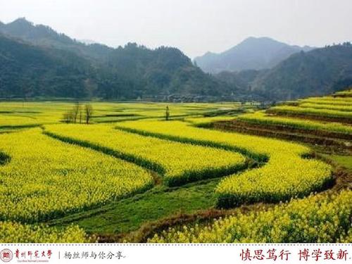 乡村旅游发展举措(乡村旅游发展研究论文)1