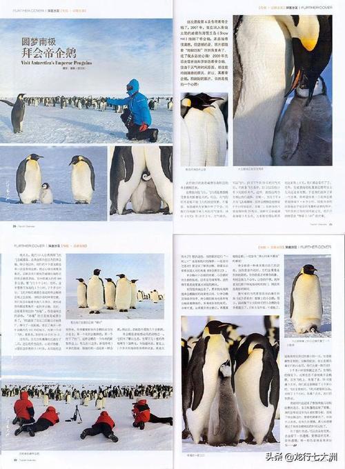 旅游纵览杂志官网(旅游纵览 官网)1