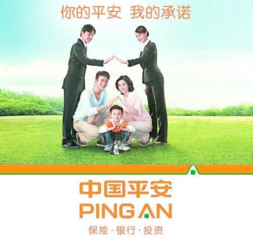 平安保险国外旅游(平安保险境内旅游险)1