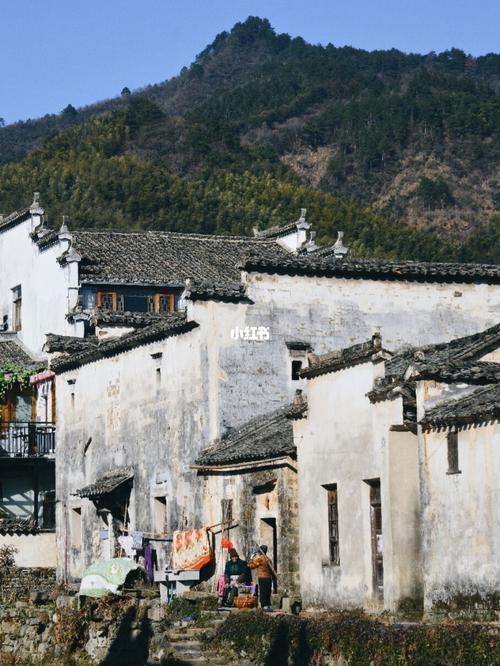 黄山旅游宏村合作(黄山旅游先去宏村还是千岛湖)2