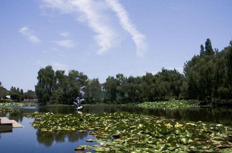 三圣花乡旅游指南1