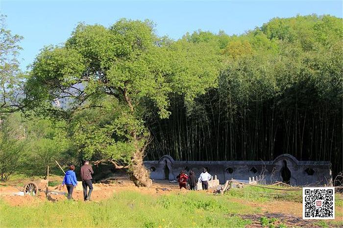 三天假期去哪里旅游(河南三天假期适合去哪里旅游)1