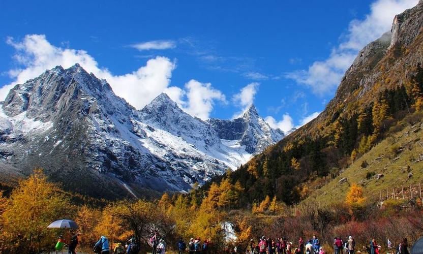 携程旅游支付成功(携程支付成功待出票)1