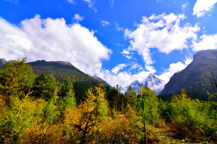 理县有什么旅游景点(理县旅游景点有哪些)3