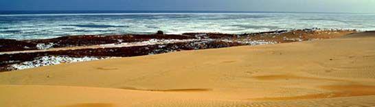 德州北戴河旅游团(合肥北戴河旅游团)2