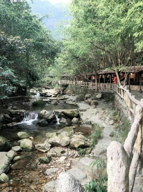 出国旅游带什么行李(出国旅游英语要达到什么水平)1