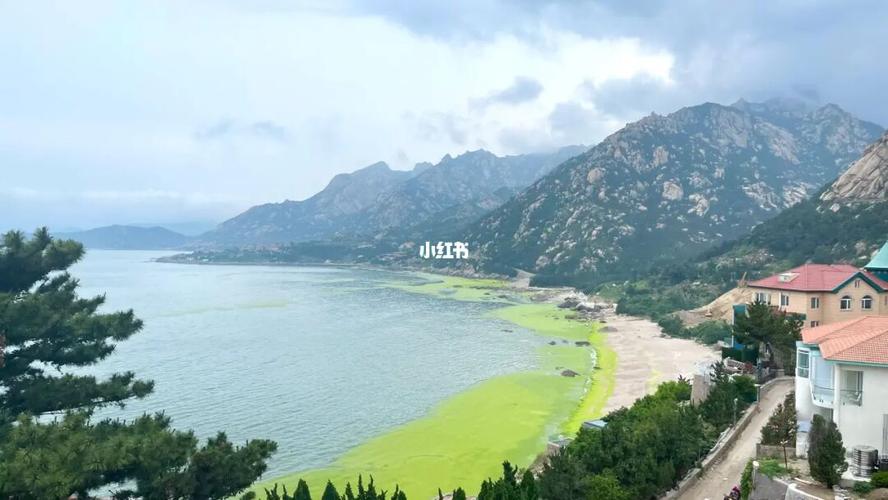 崂山旅游服务中心(爱崂山旅游服务号)2