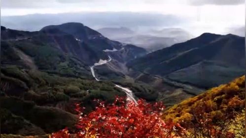 暑假到肯尼亚旅游(肯尼亚旅游签)1