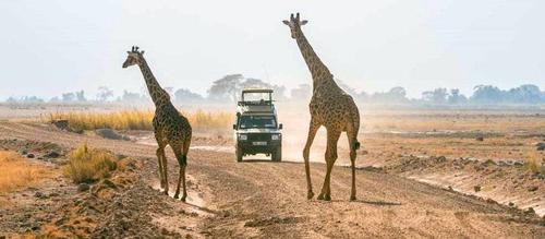 暑假到肯尼亚旅游(肯尼亚旅游签)2