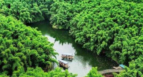 四川竹海旅游攻略(百里竹海景区旅游攻略)1