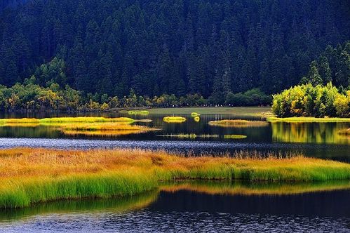 九月旅游去哪里好(带孩子旅游适合去哪里)2
