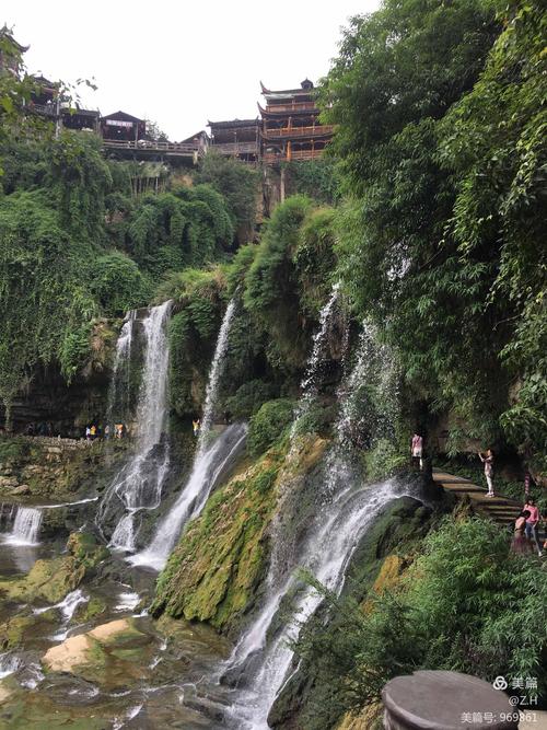 张家界到王村旅游(张家界三天旅游)2