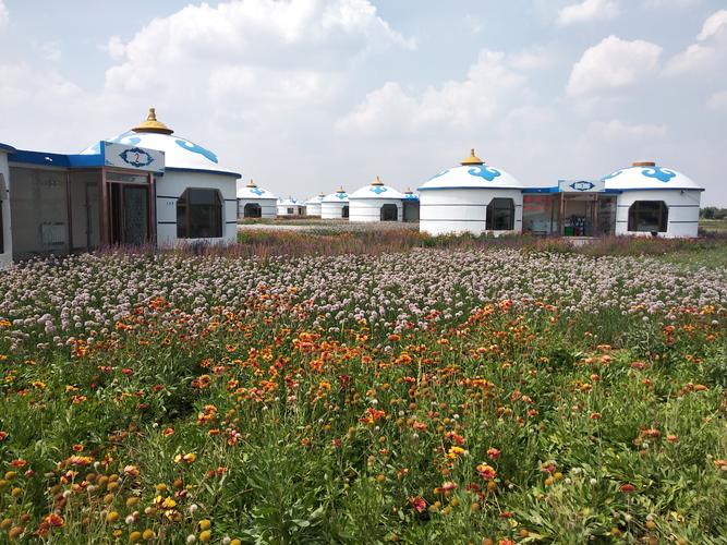 达尔扈特草原旅游(达尔扈特草原旅游区怎么样)2