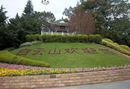 广州白云区旅游景点大全(广州白云区旅游景点推荐)2