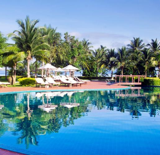 冬天去日本旅游穿什么(冬天去西双版纳旅游穿什么衣服)2