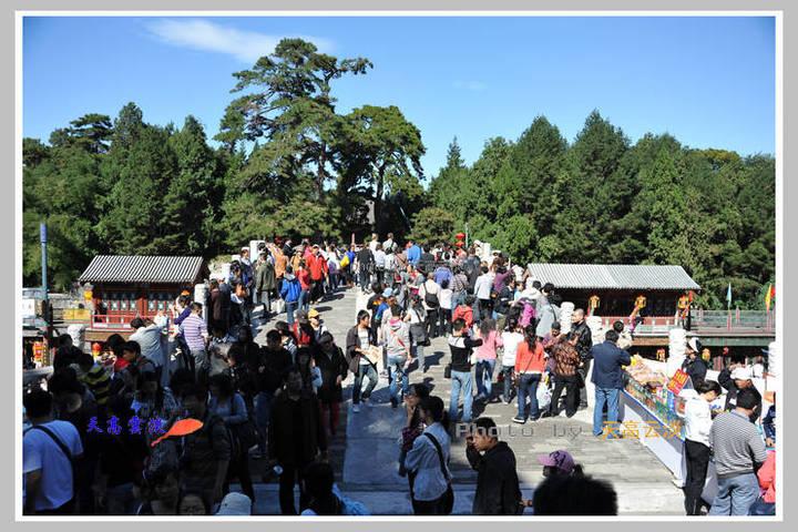 塞尔维亚旅游特产(千万别去塞尔维亚旅游)1