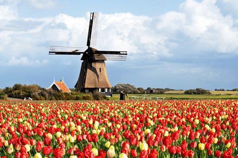 荷兰8月旅游攻略(去荷兰旅游攻略)1
