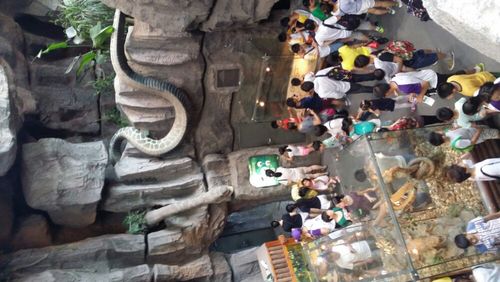 威海上海迪士尼旅游团(上海迪士尼旅游团报价)2