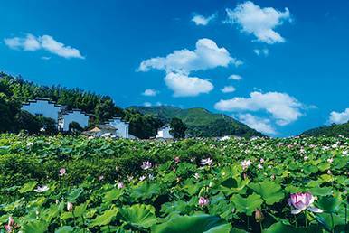 株洲醴陵旅游景点大全(醴陵旅游景点大全排名)1
