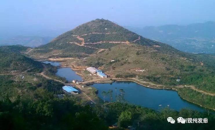 钦州市区旅游景点(钦州市区旅游景点大全)1