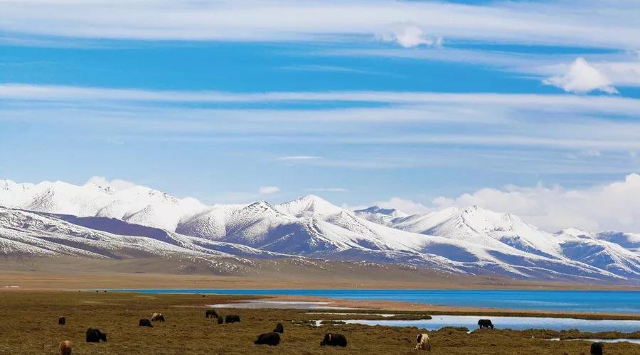 去三亚旅游安全吗(去三亚旅游安全吗疫情)1