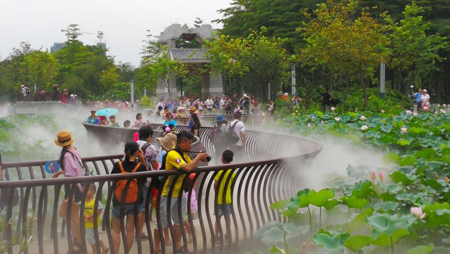 出境毛里求斯旅游(去毛里求斯旅游费用)2