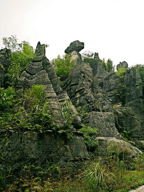 西部竹石林旅游区(沂蒙石林旅游区怎么样)2