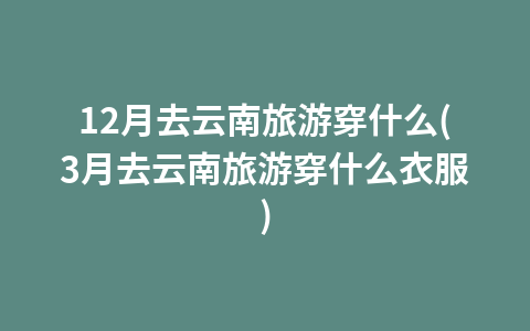 11月西双版纳旅游攻略(西双版纳告庄旅游攻略)1