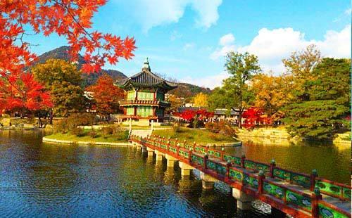 去韩国旅游禁止带什么(2019中国禁止韩国旅游)1