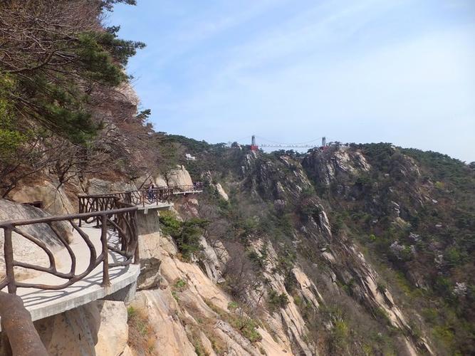 旅游在经济发展中的作用(茶文化对旅游经济发展的影响)2