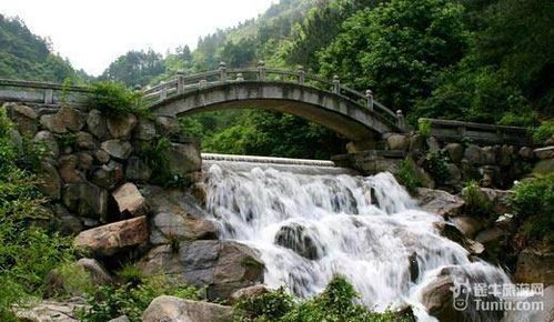 中山到香港旅游团(香港澳门旅游团报价)1