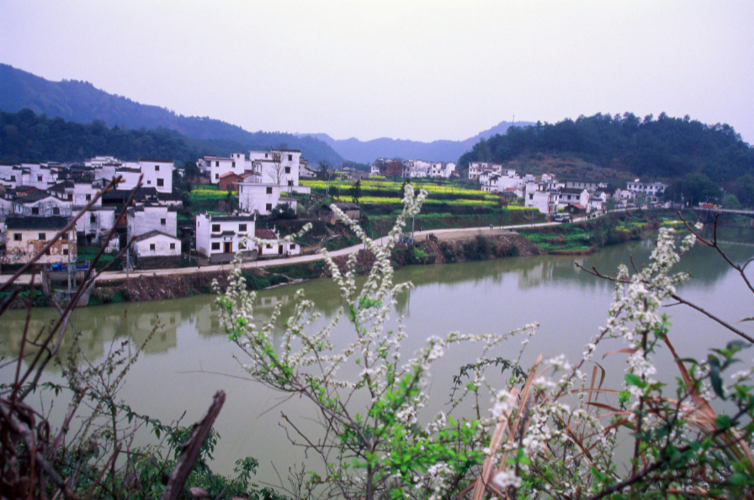 中山到香港旅游团(香港澳门旅游团报价)2