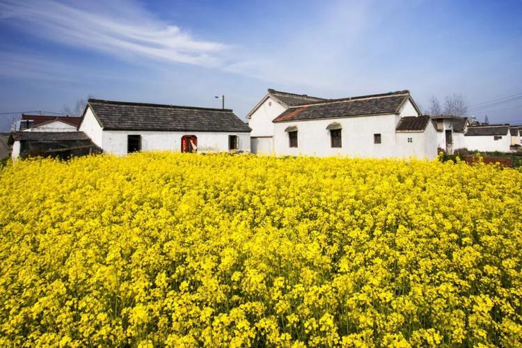 兴化全域旅游创建(全域旅游创建实施方案)1