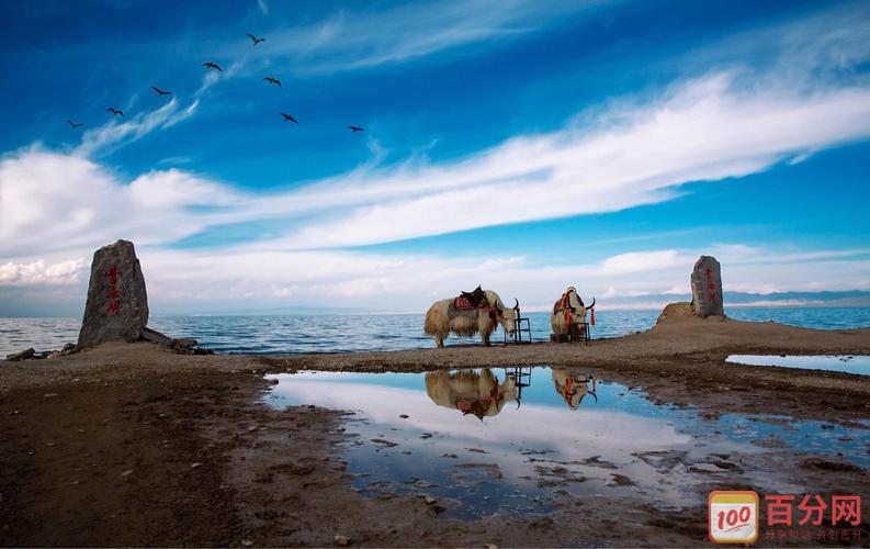 西宁旅游住哪里好(西宁旅游住哪个区方便)1