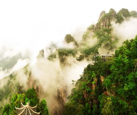 越南芽庄旅游准备什么(越南芽庄旅游必备)2