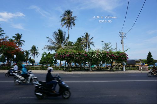 六月份去越南旅游(中国人去越南旅游)2