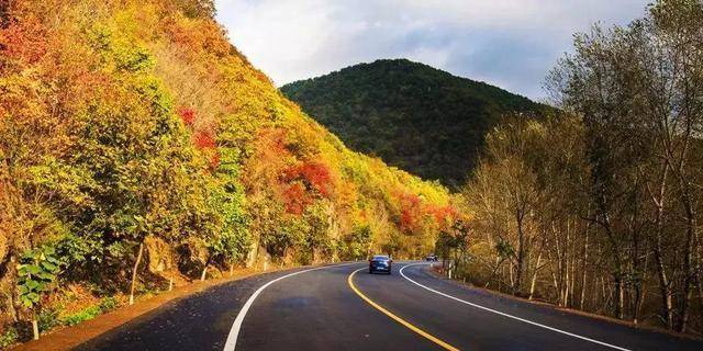 11月下旬去哪旅游好(11月下旬去哪旅游好领老人)1