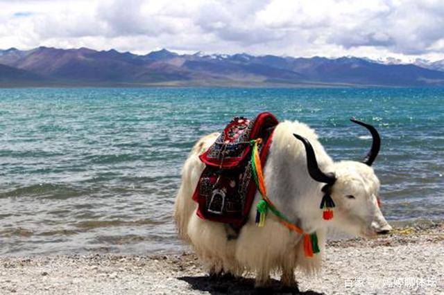 四川旅游电子合同2