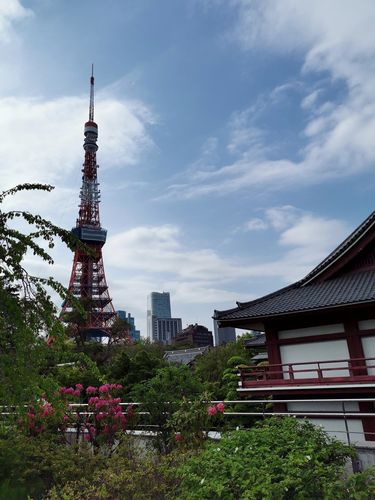 去日本旅游买相机(旅游家用买什么相机好)2