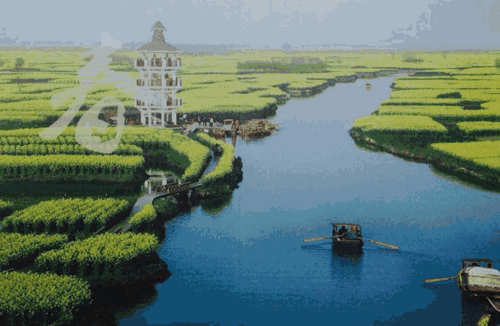 寻70后结伴旅游1