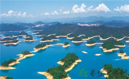 旅游服务业的存在的问题(规上服务业存在的问题)1