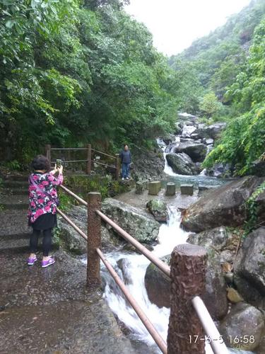 浙江天目山旅游区(浙江天目山银杏)2