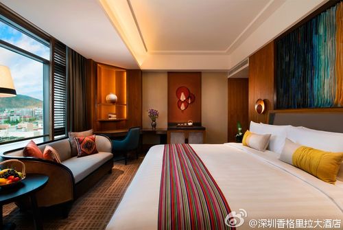 深圳旅游酒店攻略(迪拜旅游酒店攻略)1