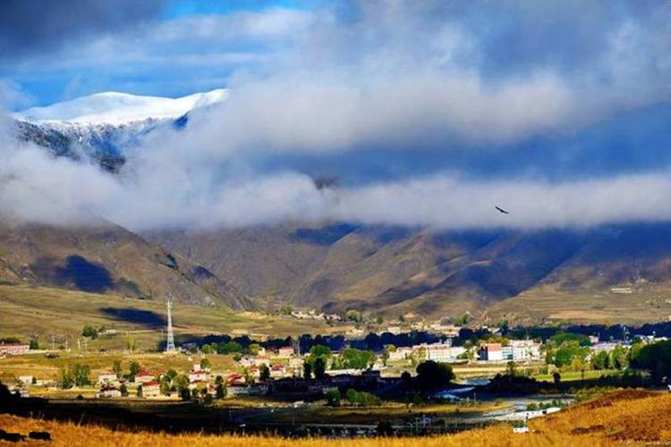 日本旅游实用日语(去日本旅游日语要几级)2