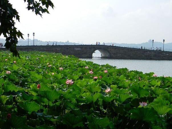 2016春节旅游杭州(春节去杭州旅游怎么样)1