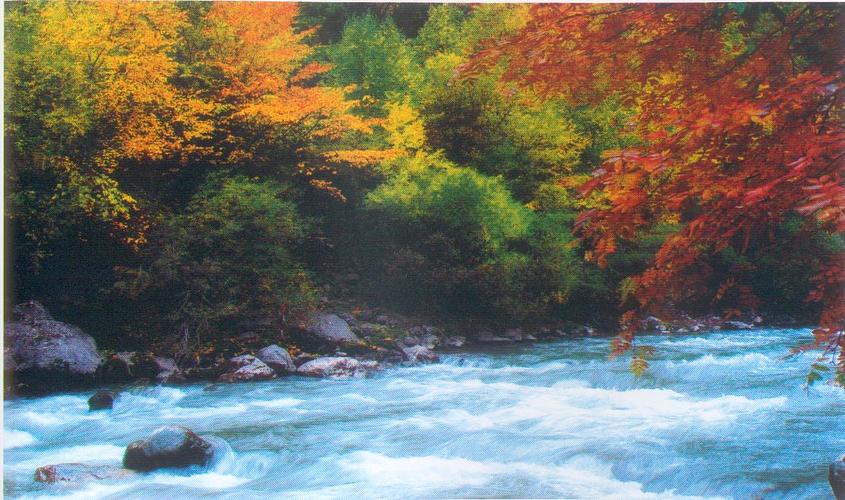 北京旅游商品商店(北京旅游商品公司)1