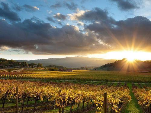 美国纳帕溪谷旅游(美国纳帕溪谷位置)2