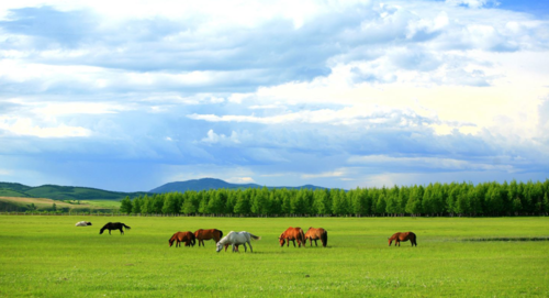 内蒙旅游最佳景点(内蒙旅游必去10大景点和费用)1