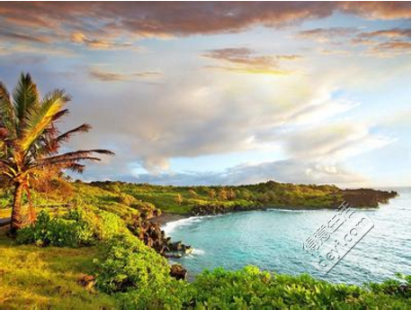 大连到夏威夷旅游(最实惠的夏威夷旅游)2